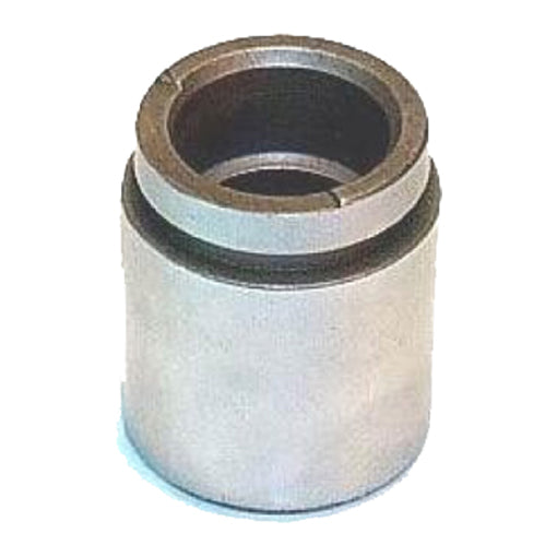 Protex Caliper Piston 090P0019