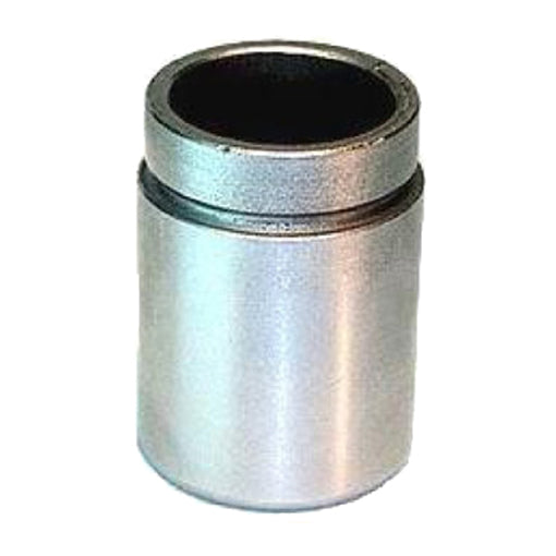 Protex Caliper Piston 090P0196
