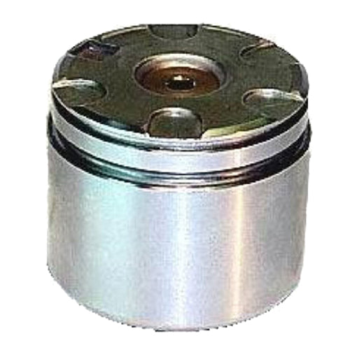 Protex Caliper Piston 090P0209