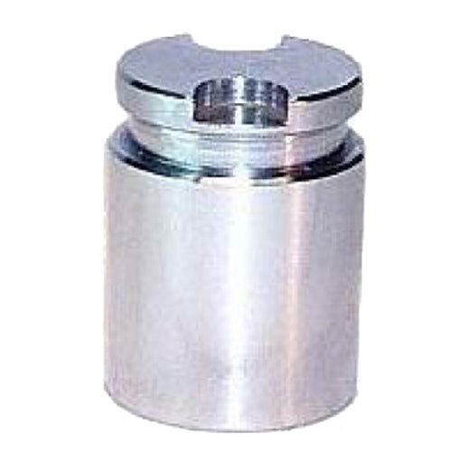 Protex Caliper Piston 090P0273