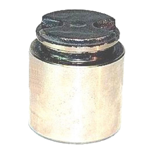 Protex Caliper Piston 090P0317