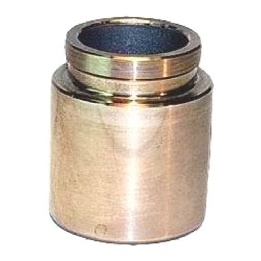 Protex Caliper Piston 090P0321