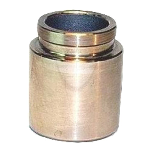 Protex Caliper Piston 090P0339