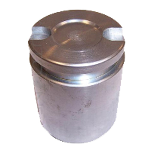 Protex Caliper Piston 090P0420
