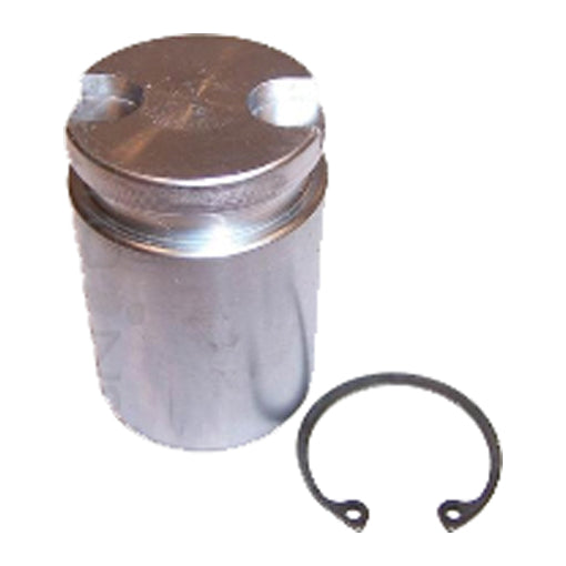 Protex Caliper Piston 090P0422