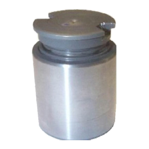 Protex Caliper Piston 090P0429