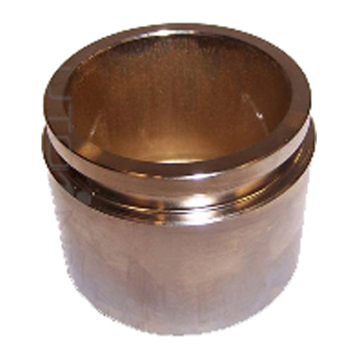 Protex Caliper Piston 090P0487