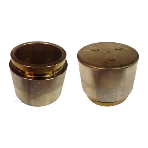Protex Caliper Piston 090P0528