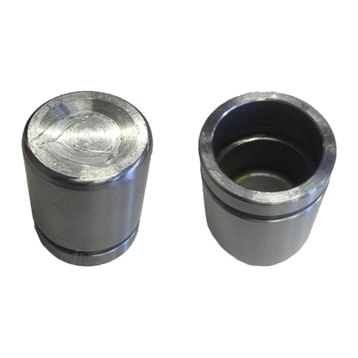 Protex Caliper Piston 090P0609