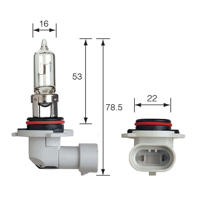 Narva 12V 100W P20d Halogen Headlight Globe 48025BL