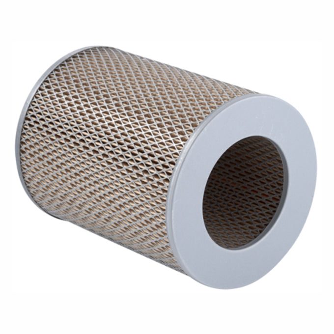 Ryco Air Filter A310