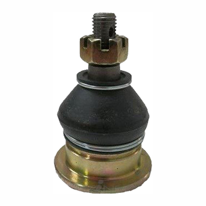Protex Ball Joint BJ6191