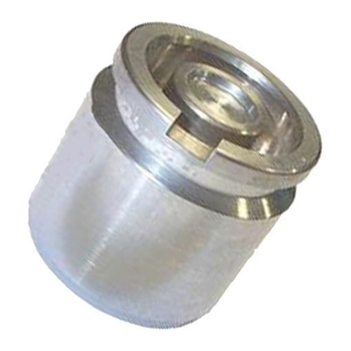 Protex Caliper Piston DB2925