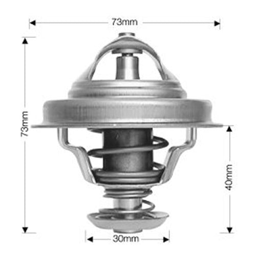 Dayco Thermostat DT37A
