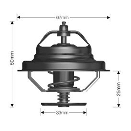 Dayco Thermostat DT74E