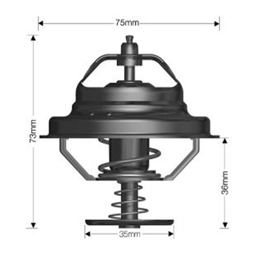 Dayco Thermostat DT81A
