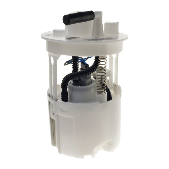 PAT Electronic Fuel Pump Assembly EFP-306