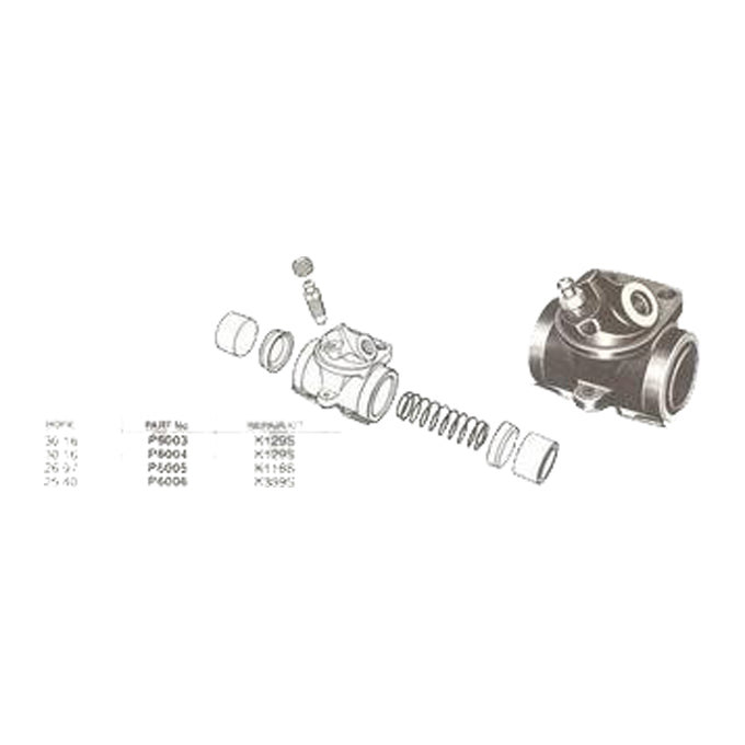 Protex Wheel Cylinder P6005