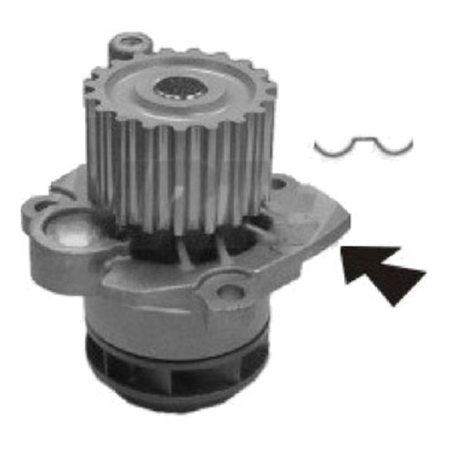 Protex Water Pump PWP7123