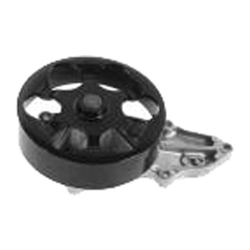 Protex Water Pump PWP8069G