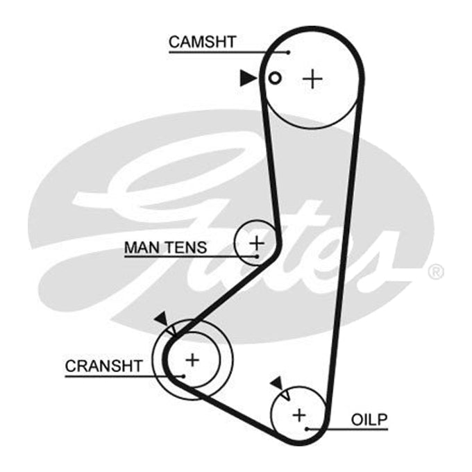 Gates Timing Belt T064