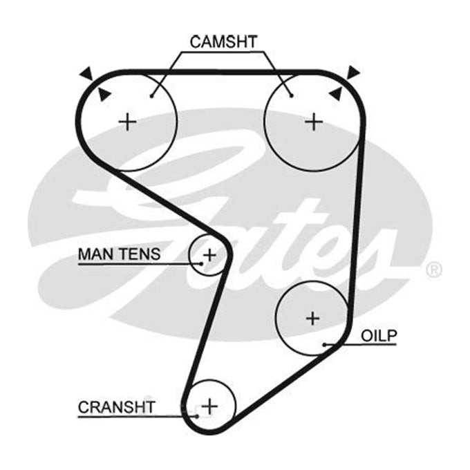 Gates Timing Belt T101
