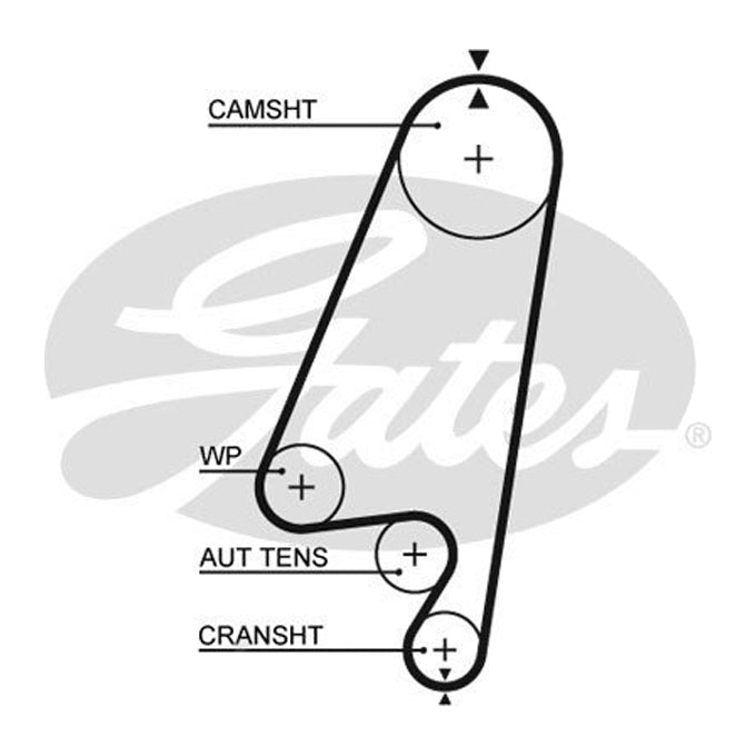 Gates Timing Belt T1022