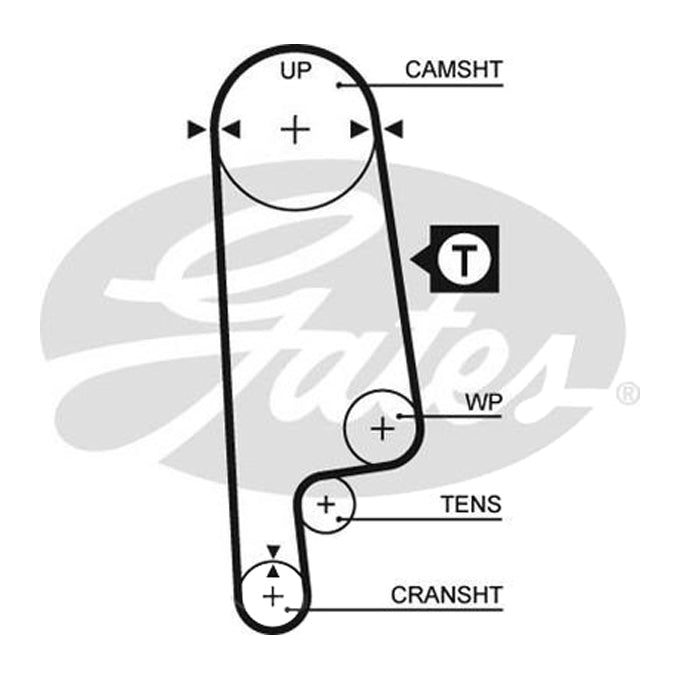 Gates Timing Belt T143