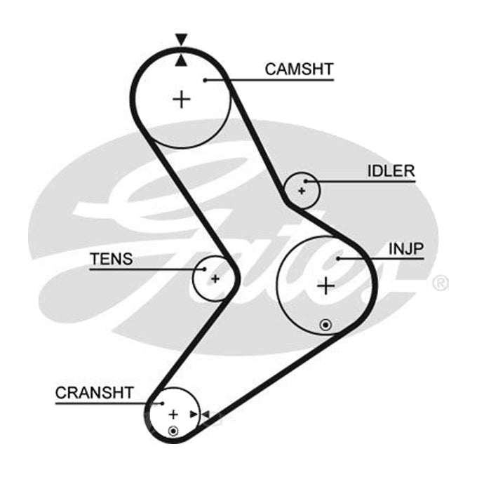 Gates Timing Belt T1555