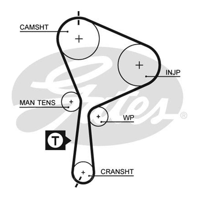 Gates Timing Belt T1558