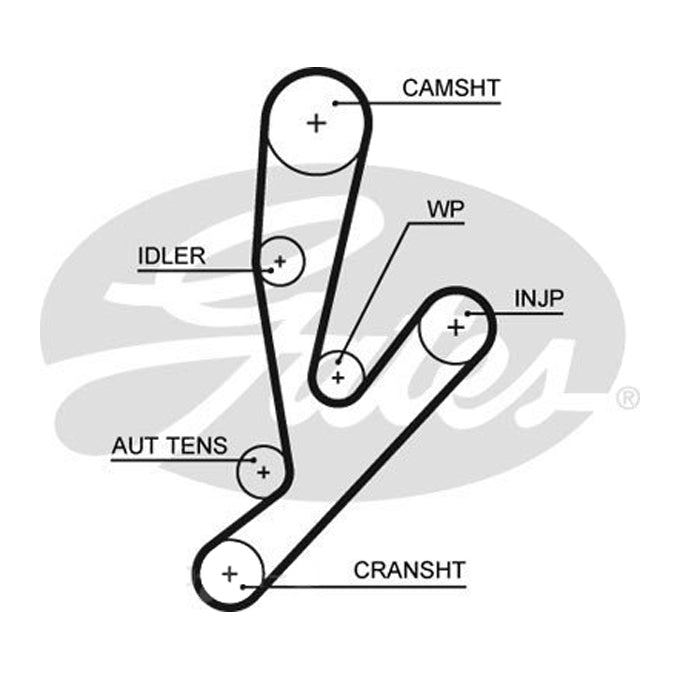 Gates Timing Belt T1621