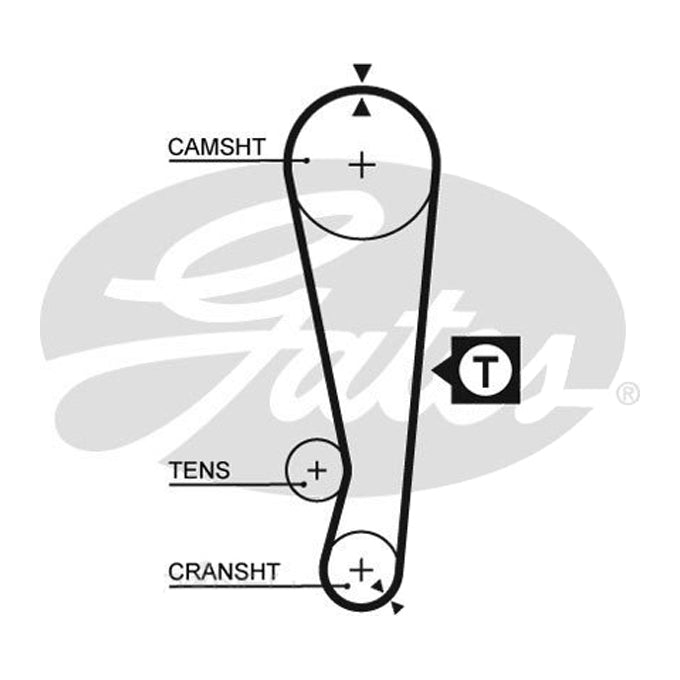Gates Timing Belt T175