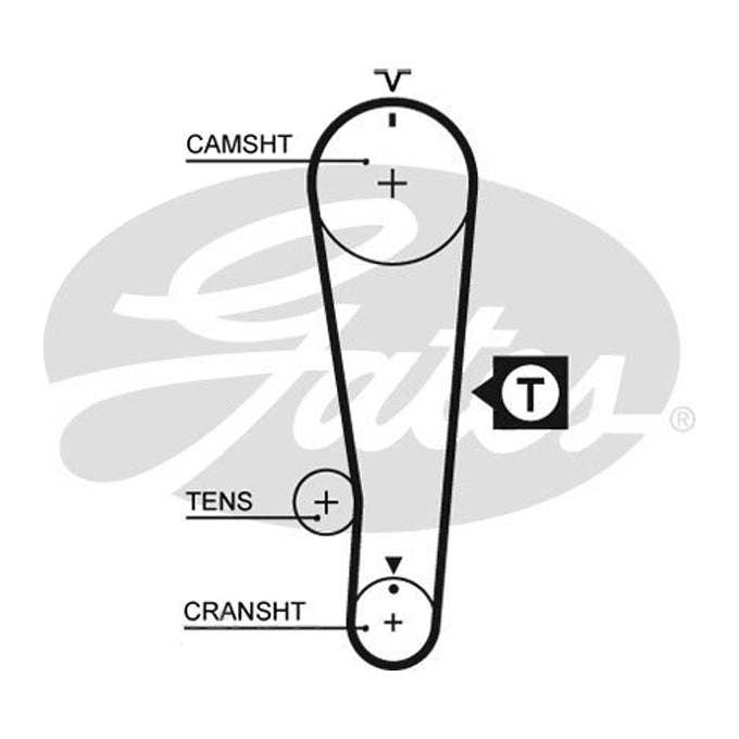 Gates Timing Belt T241
