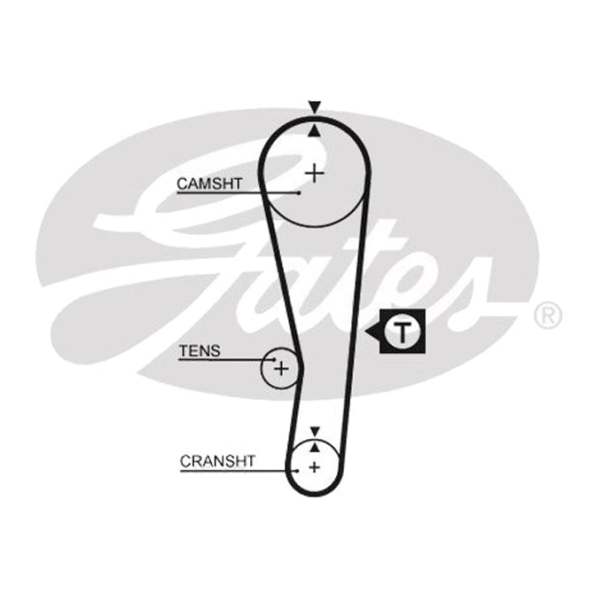 Gates Timing Belt T243