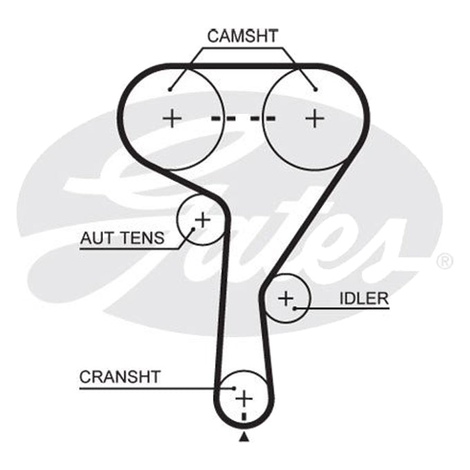 Gates Timing Belt T338