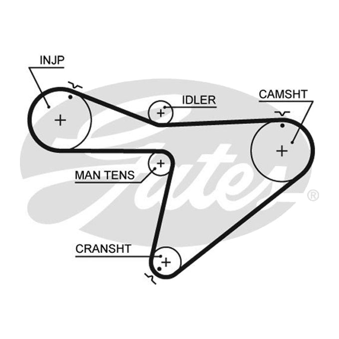 Gates Timing Belt T842