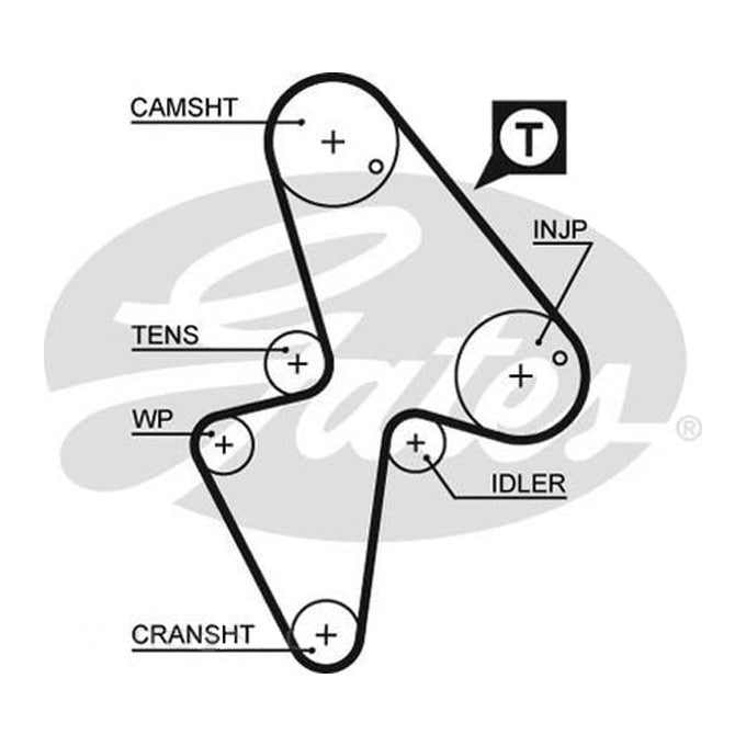 Gates Timing Belt T916