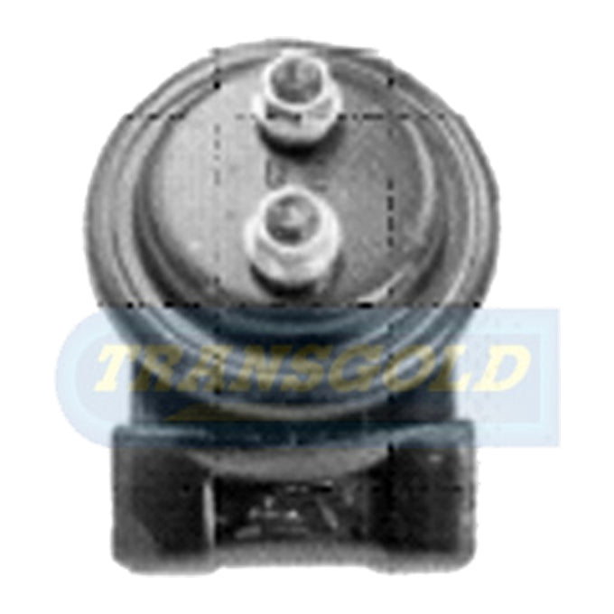 Transgold Engine Mount TEM1107