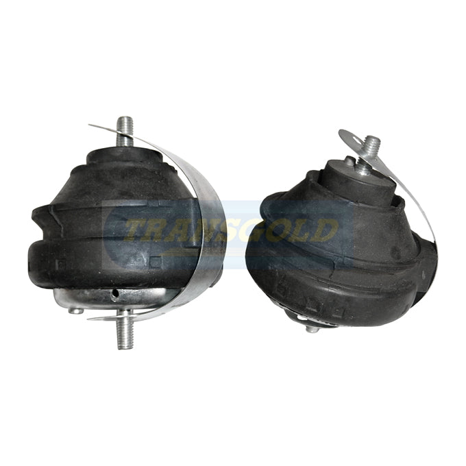 Transgold Engine Mount TEM1973
