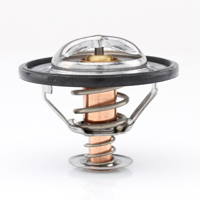 Tridon TT411 thermostat