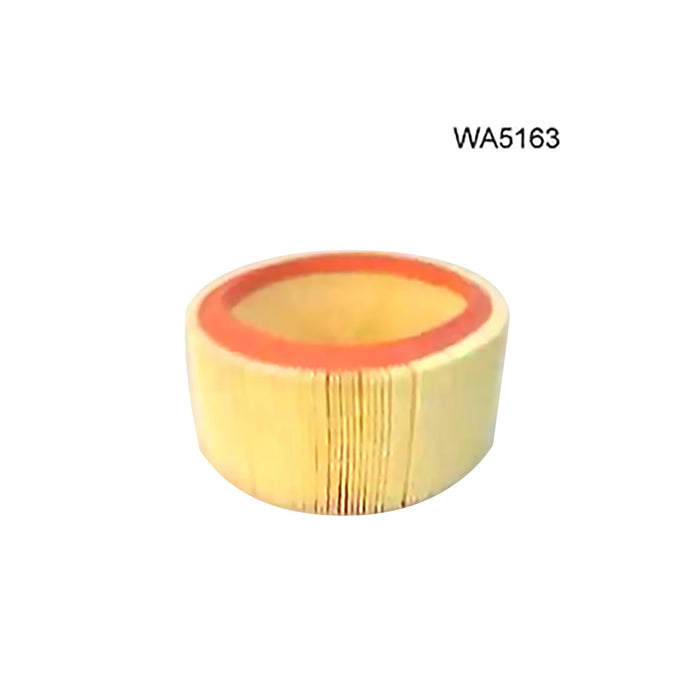 Wesfil Air filter WA5163