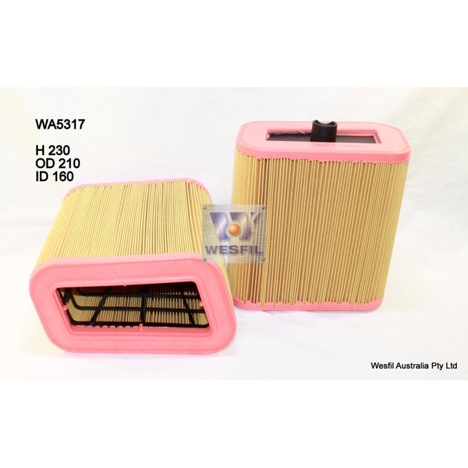 Wesfil Air filter WA5317