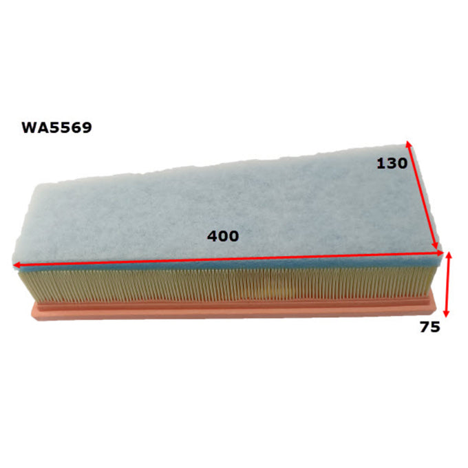 Wesfil Air filter WA5569