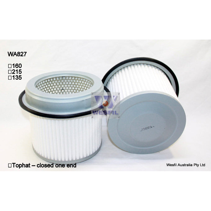 Wesfil Air filter WA827