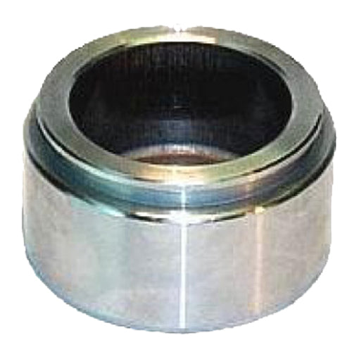 Protex Caliper Piston 090P0013