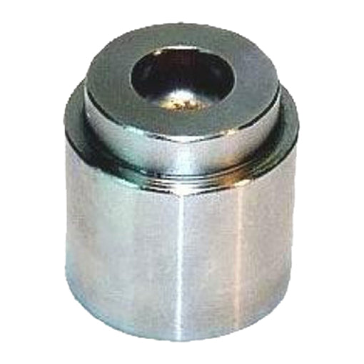 Protex Caliper Piston 090P0018