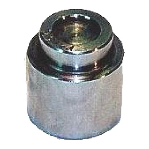 Protex Caliper Piston 090P0030
