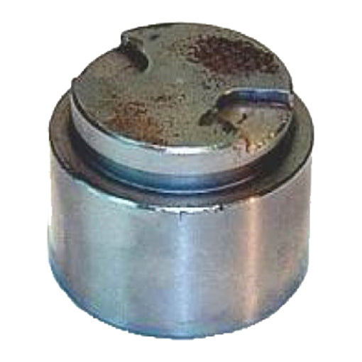 Protex Caliper Piston 090P0039