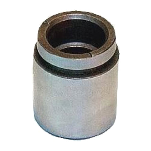 Protex Caliper Piston 090P0079