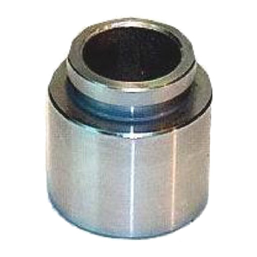 Protex Caliper Piston 090P0090